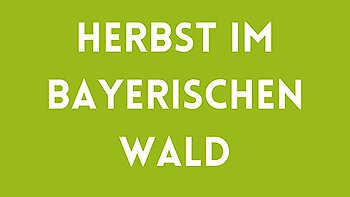 Herbst im Bayerischen Wald!